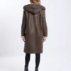 DESTINY_OLD_BROWN_D.webp DESTINY OLD BROWN