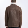 VITO__5OLD_BROWN.webp VITO OLD BROWN